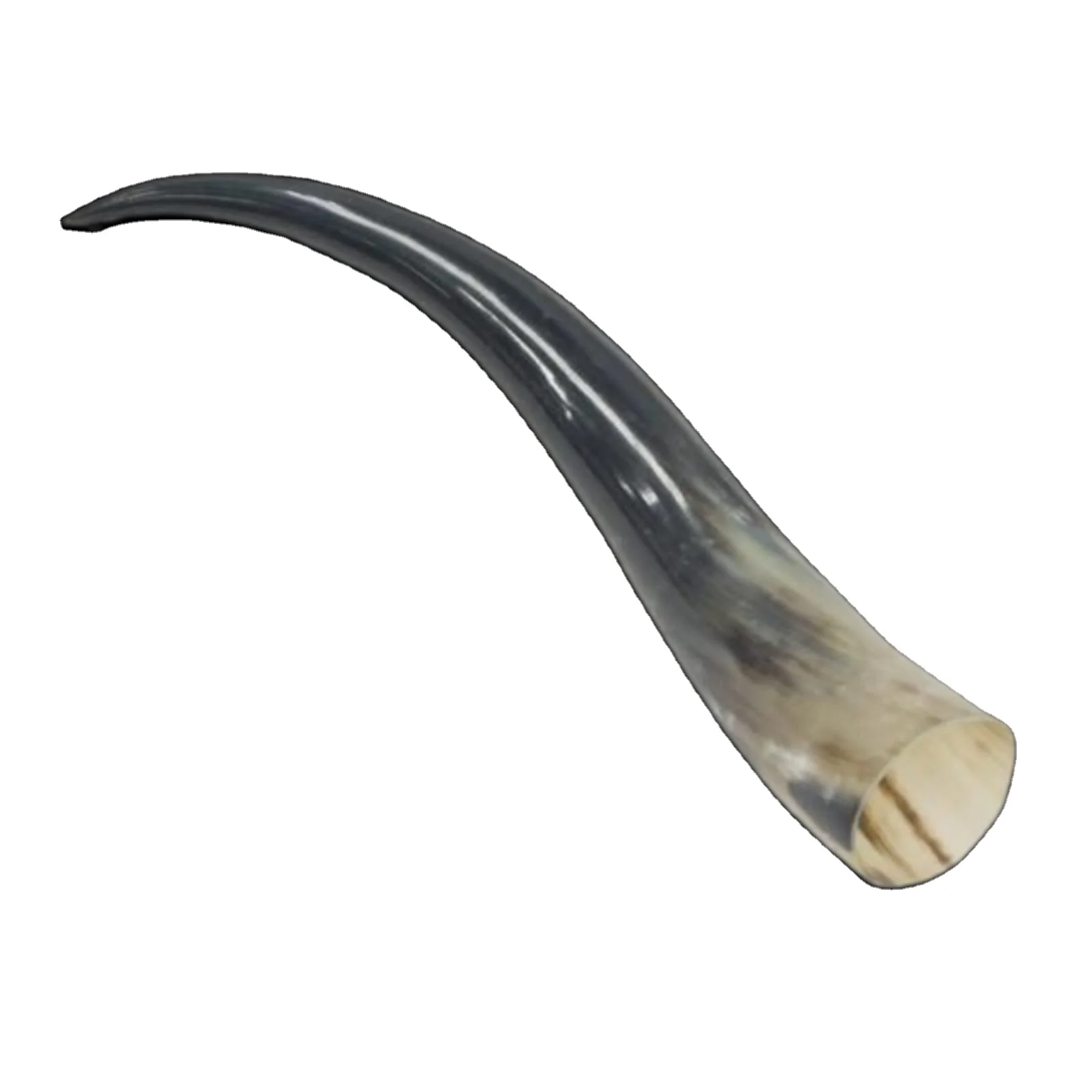 customized For Sale In Bulk Buffalo/cow Horn And Horn Tip/OX Natural Quality OX and Buffalo Horn from Bangladesh