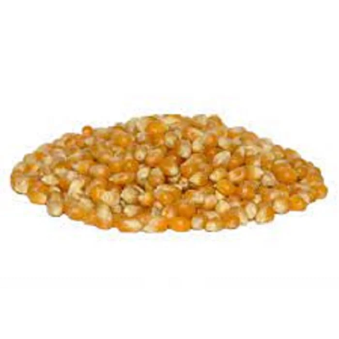 Кукуруза из России, оптовая продажа