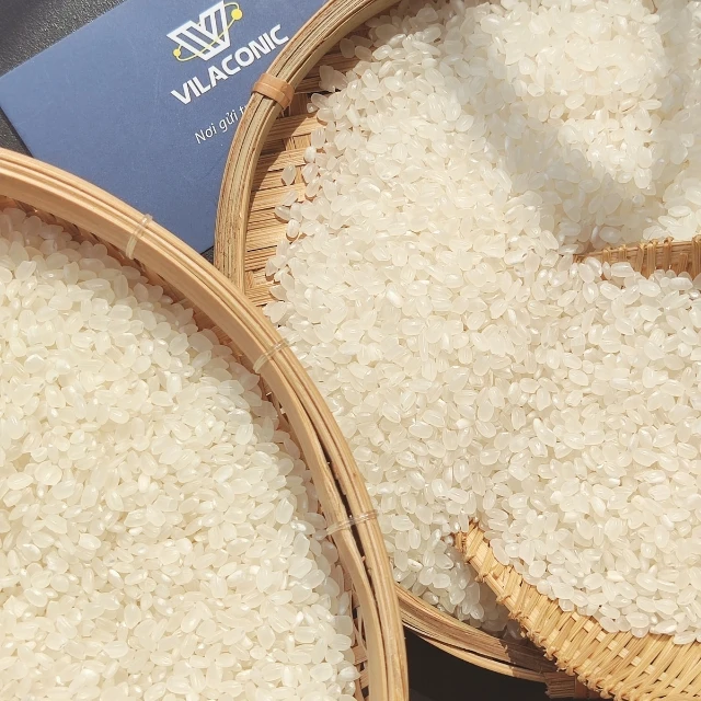 Японский короткозернистый рис для приготовления суши-роллов из вьетнамского риса экспорт новых зимних весенних культур оптом (ВА: 84 971827680)