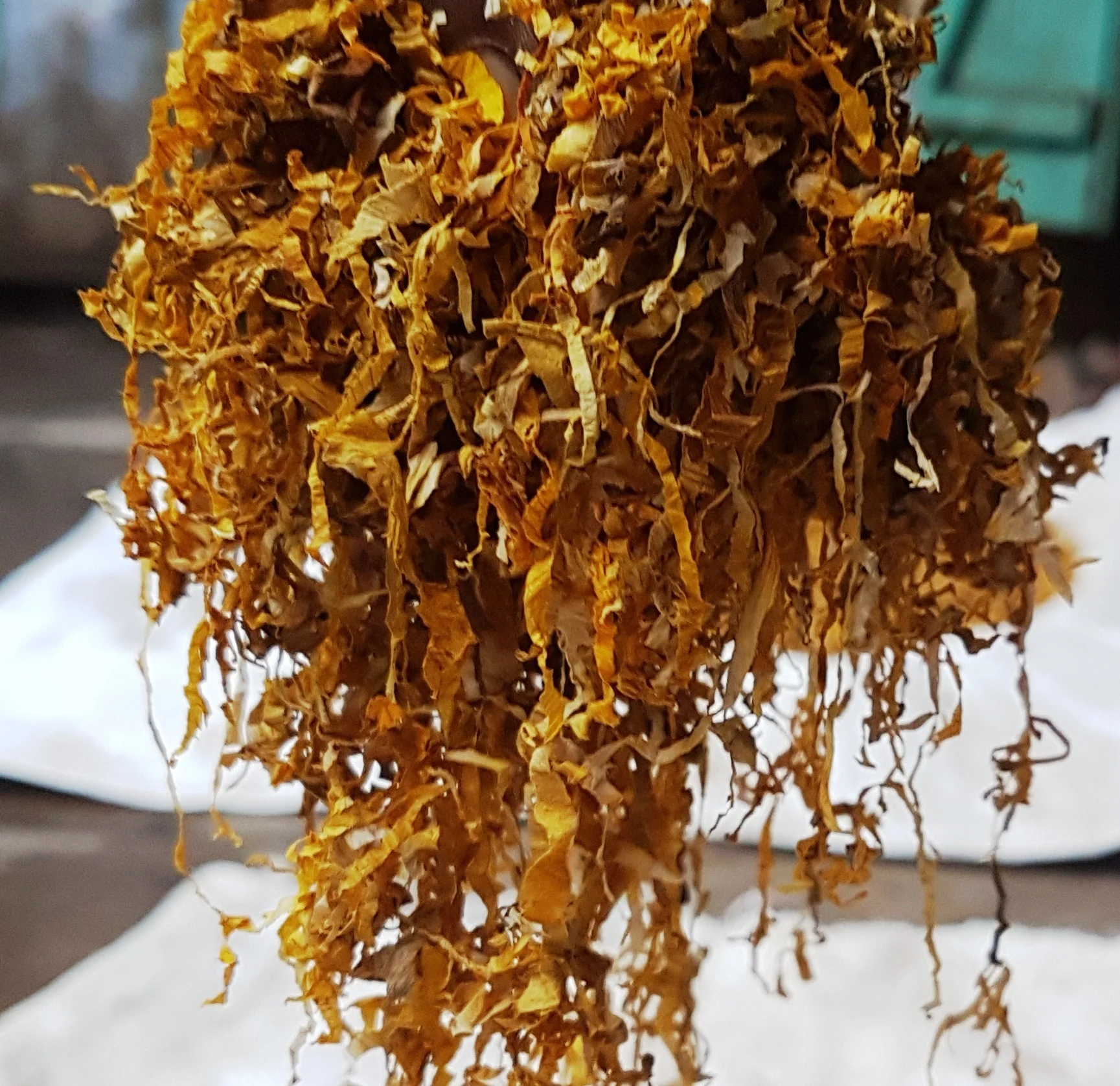 LTX Herbs Shisha Cut.jpg