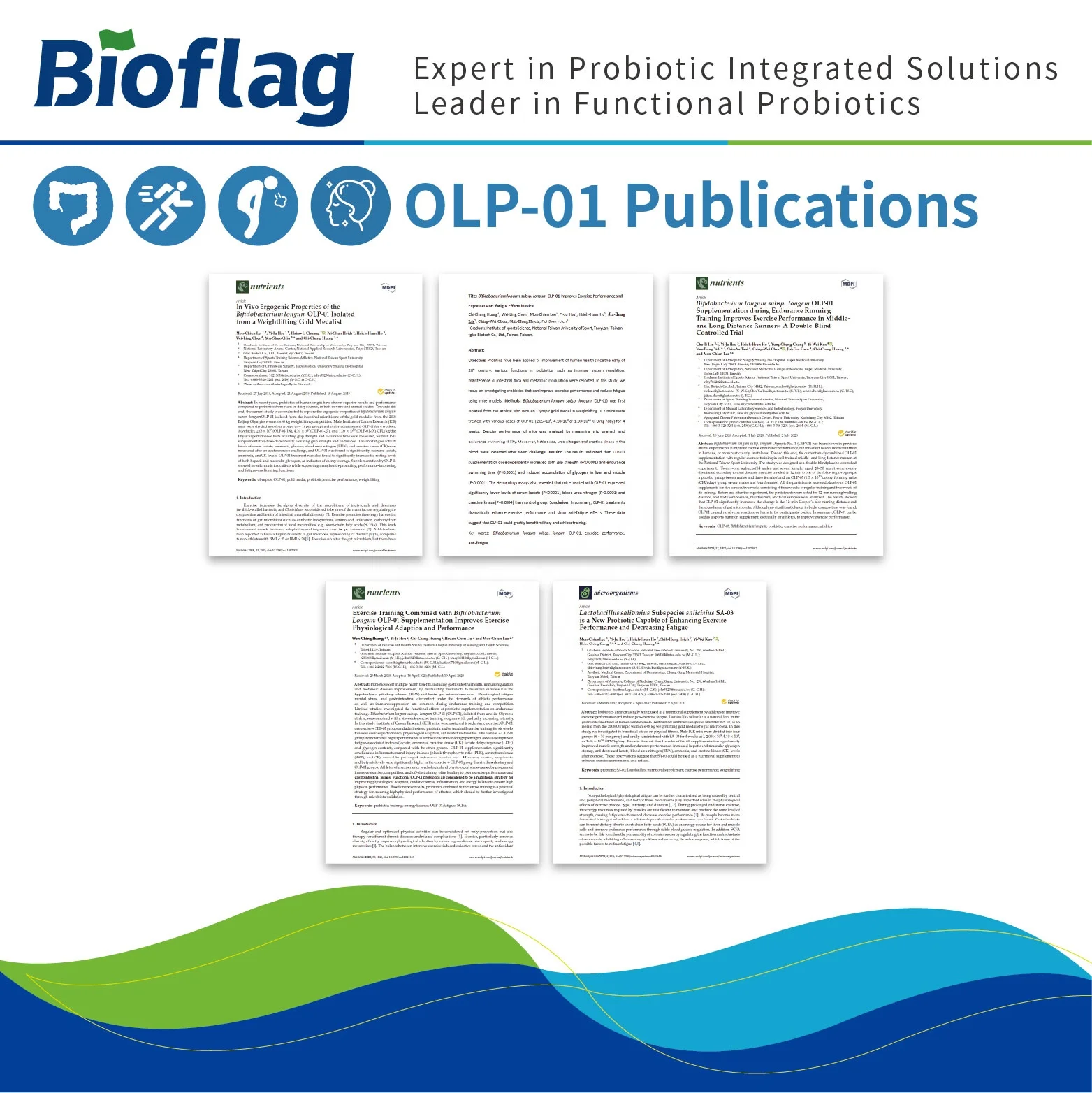 BCAA Probiotics Sport supplement Bifidobacterium longum ssp. longum OLP-1 delay muscle fatigue