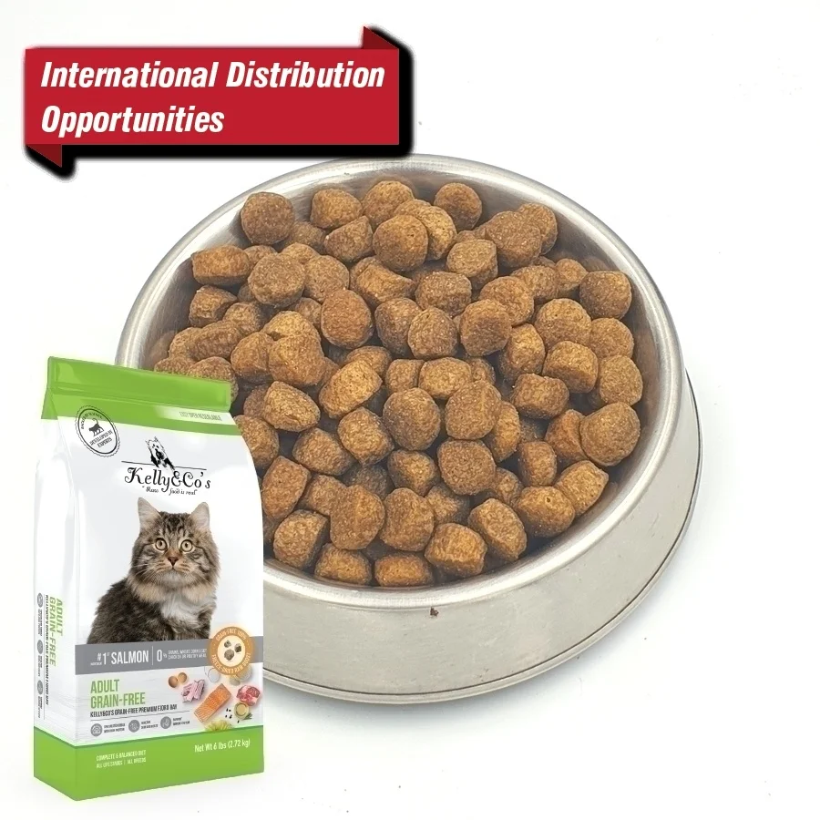 Thailand Supplier Hot Selling dry freeze-dried cat kibble with freeze-dried raw food brands salmon flavor freeze-dried pet food