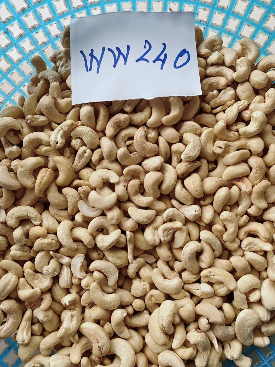 Vietnam ISO/HACCP Certification W320 Raw Cashews bulk supply Quality cashew nuts
