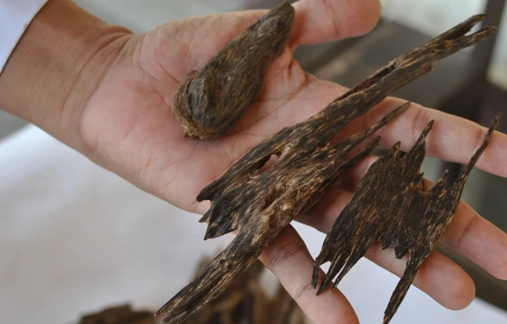  Эфирное масло OUD LIMITED EDITION TRIPEL SUPER KALIMANTAN