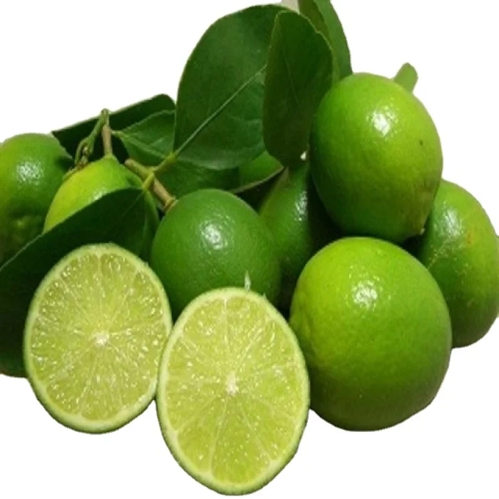 New Arrival Best Price High Quality Fresh Fruit Green Sour Taste Seedless Lime From Vietnam