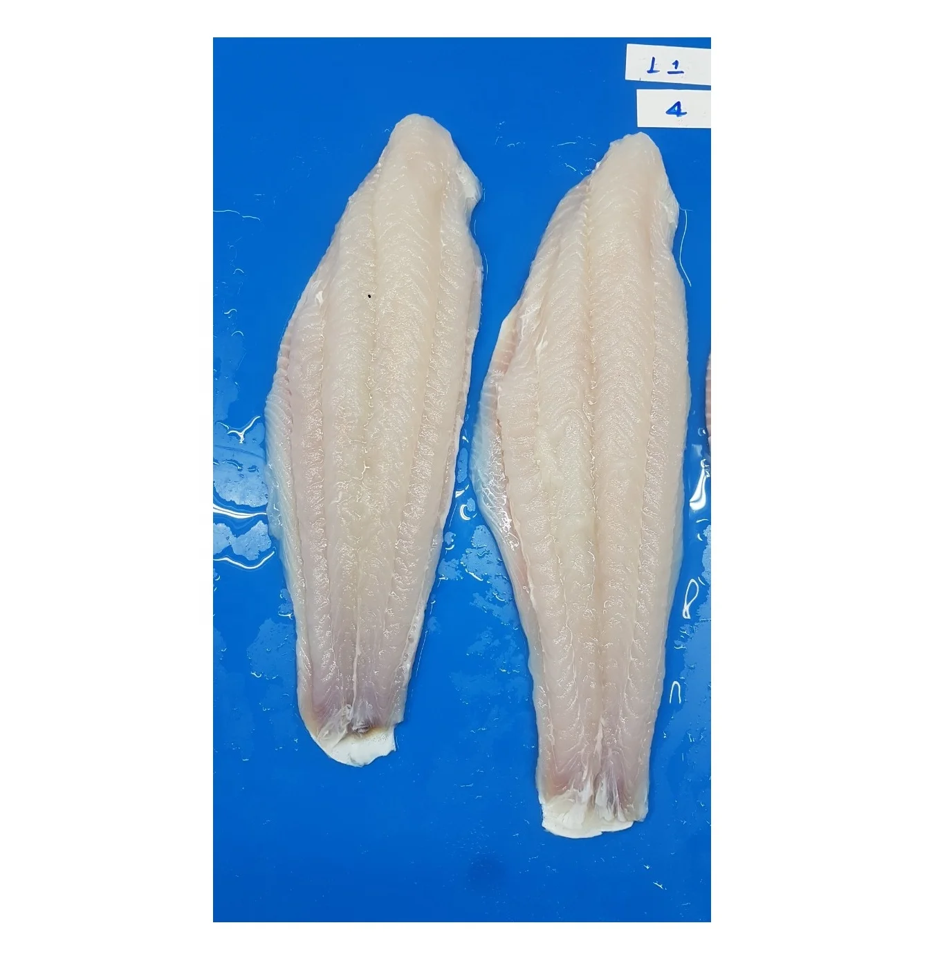 FROZEN PANGASIUS FISH FILLET  /BASA FISH FILLET SKIN ON HIGH QUALITY