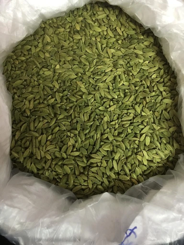 Fresh Indian Bold and Round shape Green Cardamom 8 + mm  for daily Home usage wholesale supply
