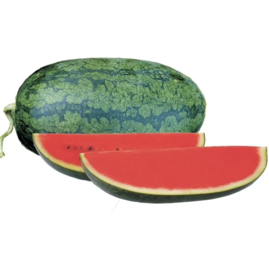 New Arrival 2023 High Quality Material Factory Price Fresh Watermelon From Viet Nam Ready To Ship
