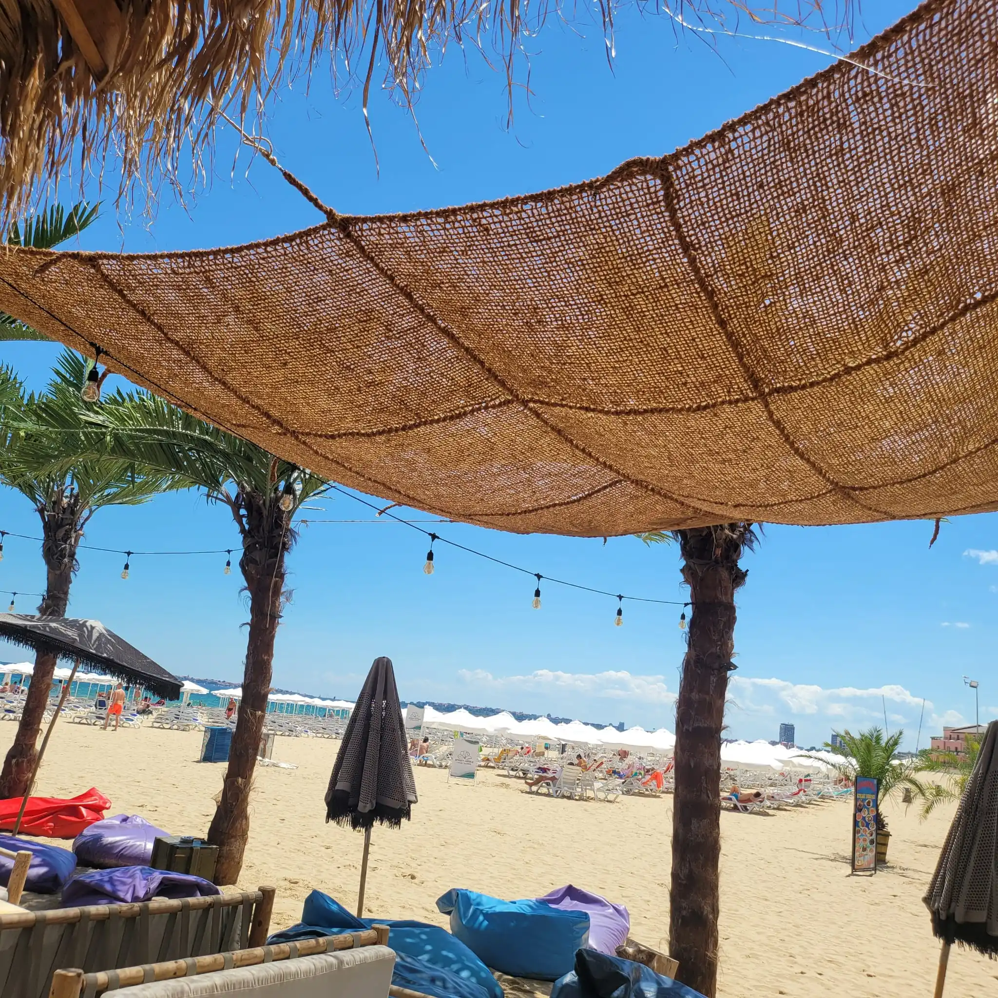 2024 Factory Direct Export Eco-Friendly Coconut Coir Net from Vietnam For Sunshade Net Competitive Agriculture Product Price