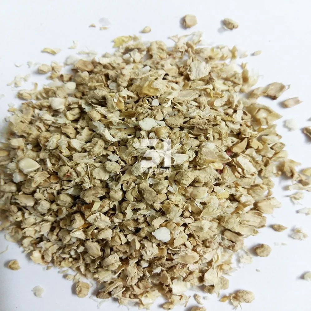 Wholesales Corn Cob Powder Made In Vietnam Ready To Ship For Cattle Feed With Cheap Price