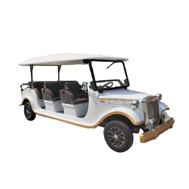 2024 Classic 11 -Seater Electrical Touring Cars, City Travel Cars