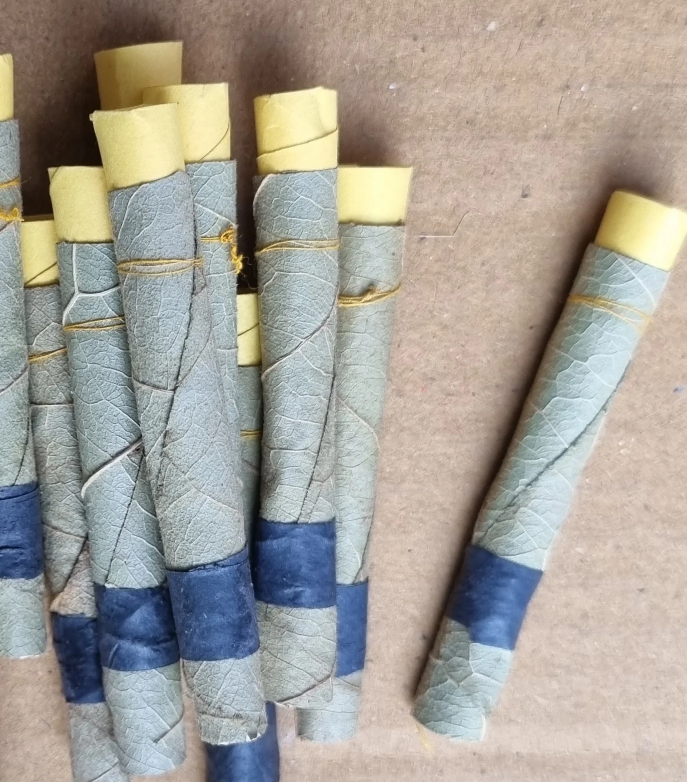 Зеленые и свежие Предварительно скрученные листья cordia tendu все ssizes по лучшим ценам Cordia