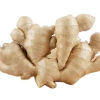 Good fat yellow Ginger fresh fat ginger new crop Chinese Fresh Ginger for sale from factory