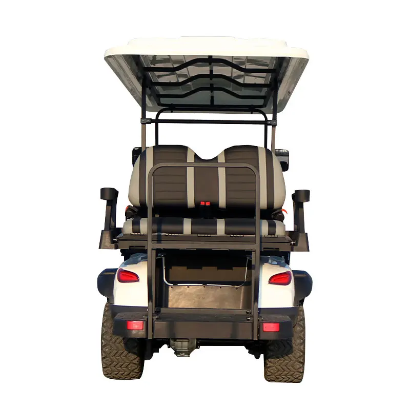 48V/72V New Design with Curtis Controller Electric Golf Cart 5kw ODM Service for Exclusive Brand Agent