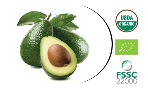 Premium Quality Raw Avocado: Freshly Harvested, Organic, Handpicked, Naturally Ripened
