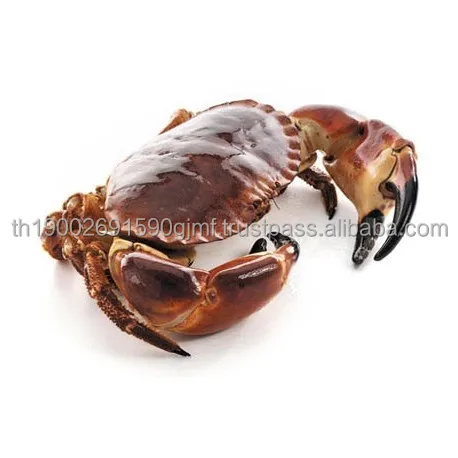 cooked-brown-crab-male.jpg