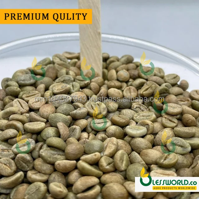 Wholesale Vietnamese High Quality Green Coffee Beans With Best Price Arabica Beans ForGreen Arabica COFFEE BEANS ( Natural )