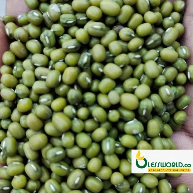 Factory Price  Agricultural crop green mung bean buyers with lower price
