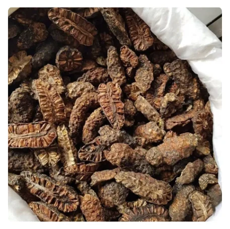 VIETNAMESE Dried Noni Fruit SUPPLIER - WHOLE AND HALF-CUT IN BULK WITH GREAT VALUE