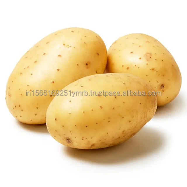Best Fresh potato price per ton For Wholesale Buy High quality 100% Organic