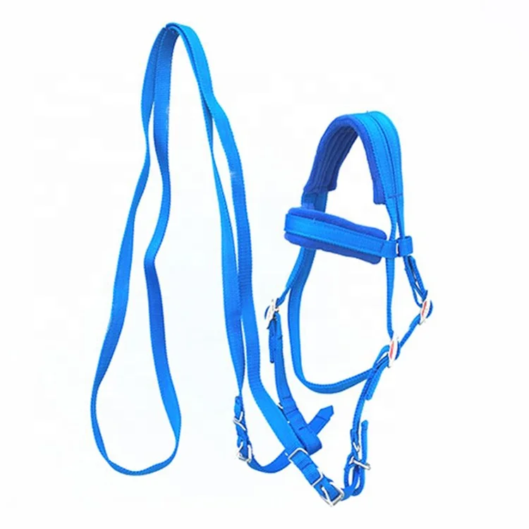 Best Quality Nylon Horse Halter Adjustable with Cushioned Padding Racing Nylon Horse Halter Manufacturing From India