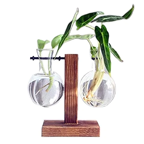 BULB VASE FLOWER Plant Terrarium with Wooden Stand, Air Planter Bulb Glass Vase Metal Swivel Holder Retro Tabletop