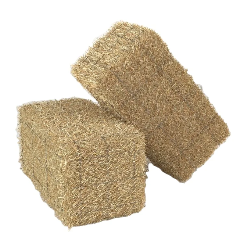 Wheat Straw Hay Bale Animal Feed Premium High Quality Protein Extract 99% Wholesale Bulk Quantity Retail