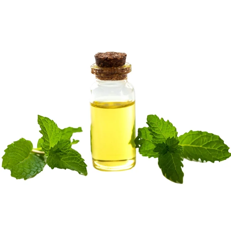 Peppermint Essential Oil | All-Natural And Pure  Peppermint Oil For Skin And Hair At Bulk Price | Skin Soothing Peppermint Oil