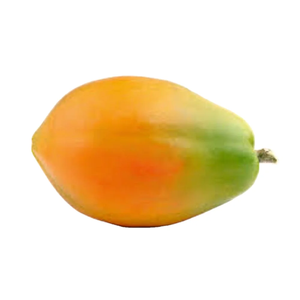 Лучшая цена для сельского хозяйства Pawpaw red glory