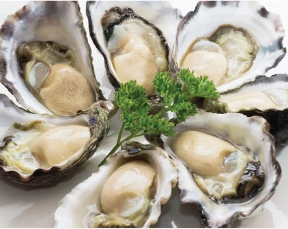1 Year Fresh Oyster,  Viet Nam Fresh Seafood With IQF Process Frozen Pacific Oyster Intestines Shellfish