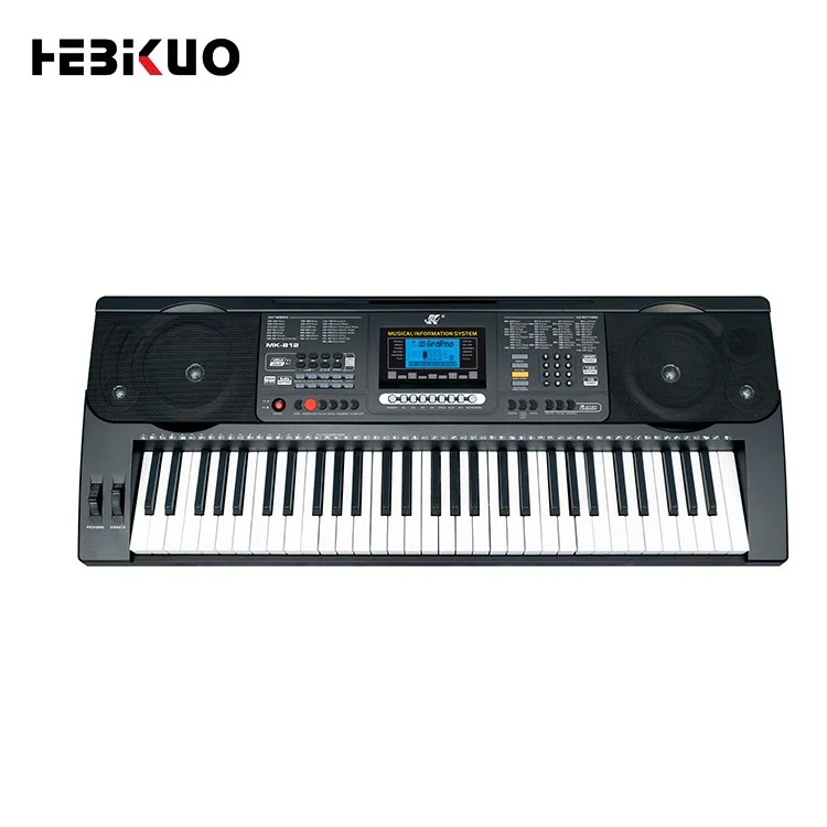Wholesale LCD Display Screen Price Electronic Organ Portable 61Keys Electrical Keyboard from Singapore