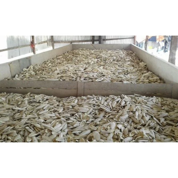 Highly nutritious animal feed/cuttlefish bone/calcium bone
