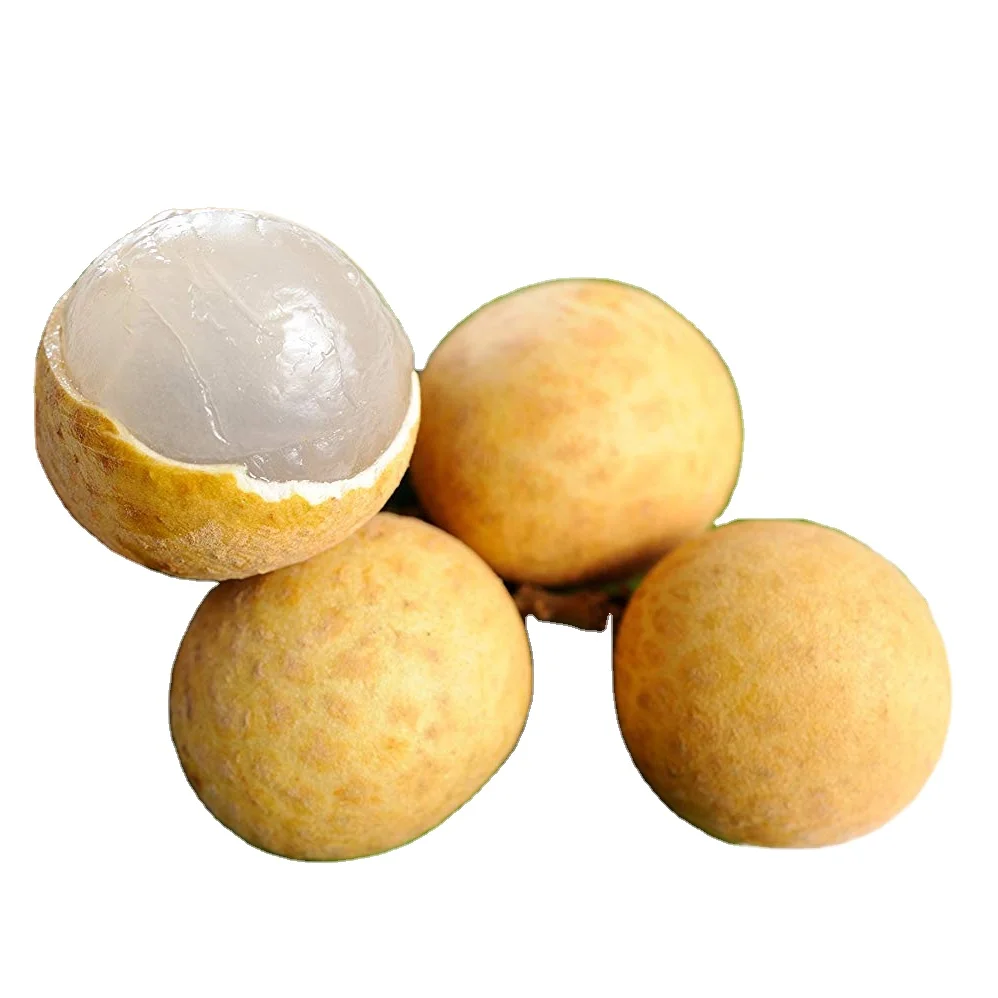 FROZEN LONGAN FRUIT HIGHT QUALITY PACKING 5KG PER CARTON -- HP 0084 917 476 477