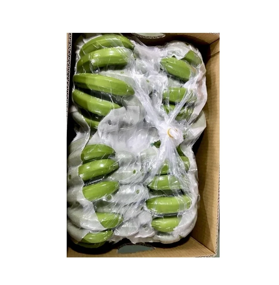 Vietnamese Green Cavendish Banana / Fresh bananas fruit vegetables/ Agriculture from Vietnam