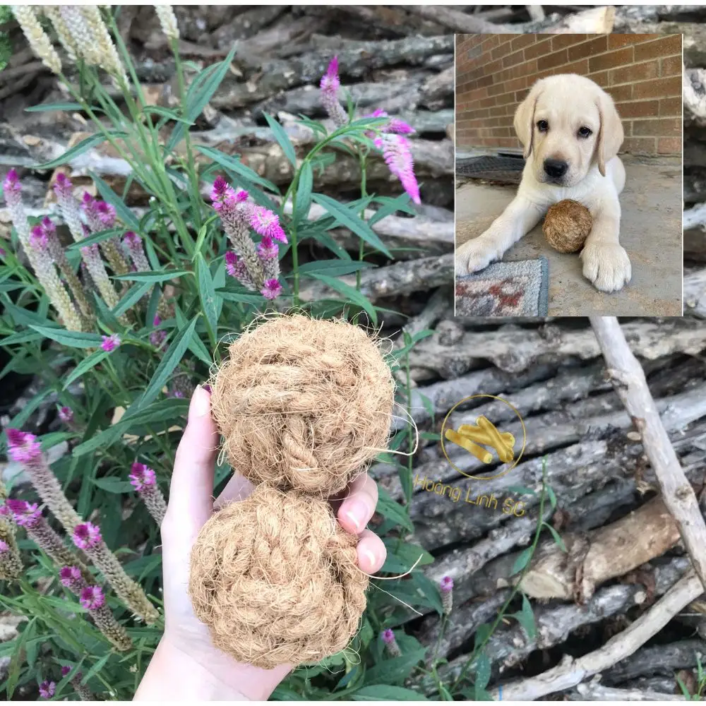 Wholesale Natural Coconut Fiber Dog Chew Toy Durable Training Pet Toy from Vietnam Hoang LINH SG +84 797 415 298 Sara