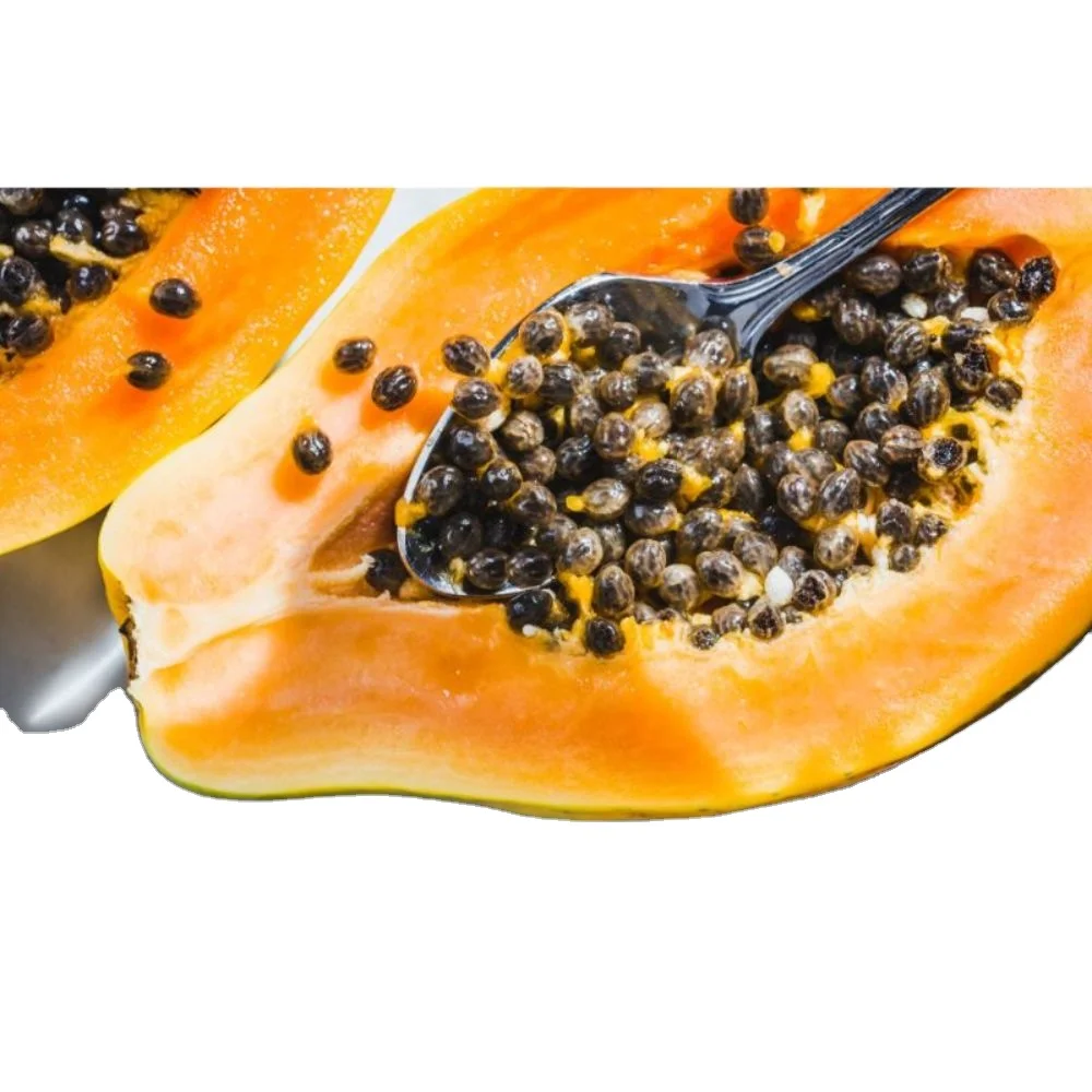 Лучшая цена для сельского хозяйства Pawpaw red glory