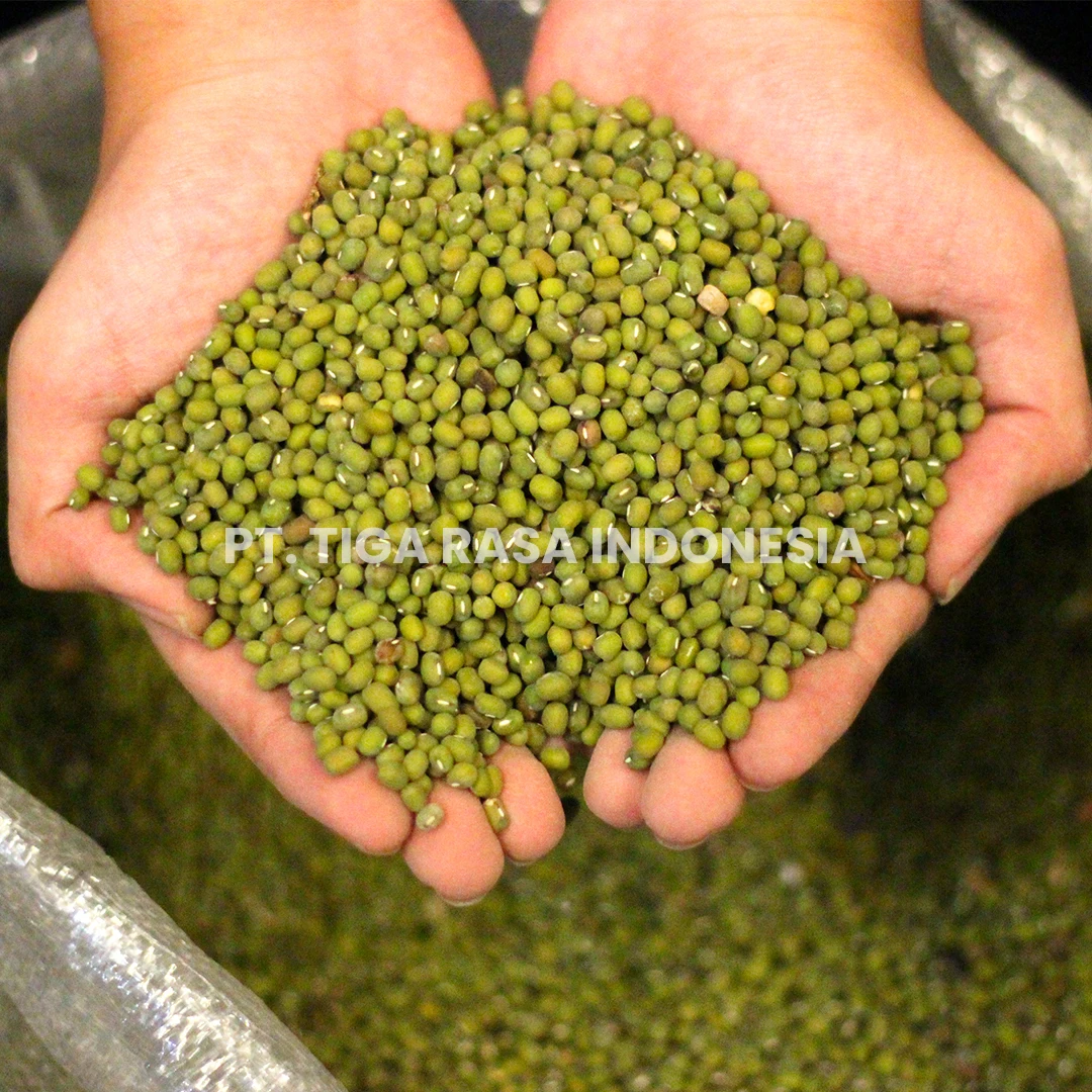 The Best Price Green Mung Mean Unpolished From Indonesia