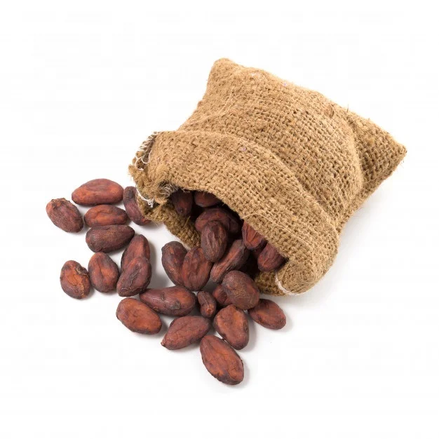 Roasted Cocoa Beans 2.jpeg