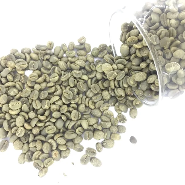 Raw Arabica coffee beans, Vietnamese origin