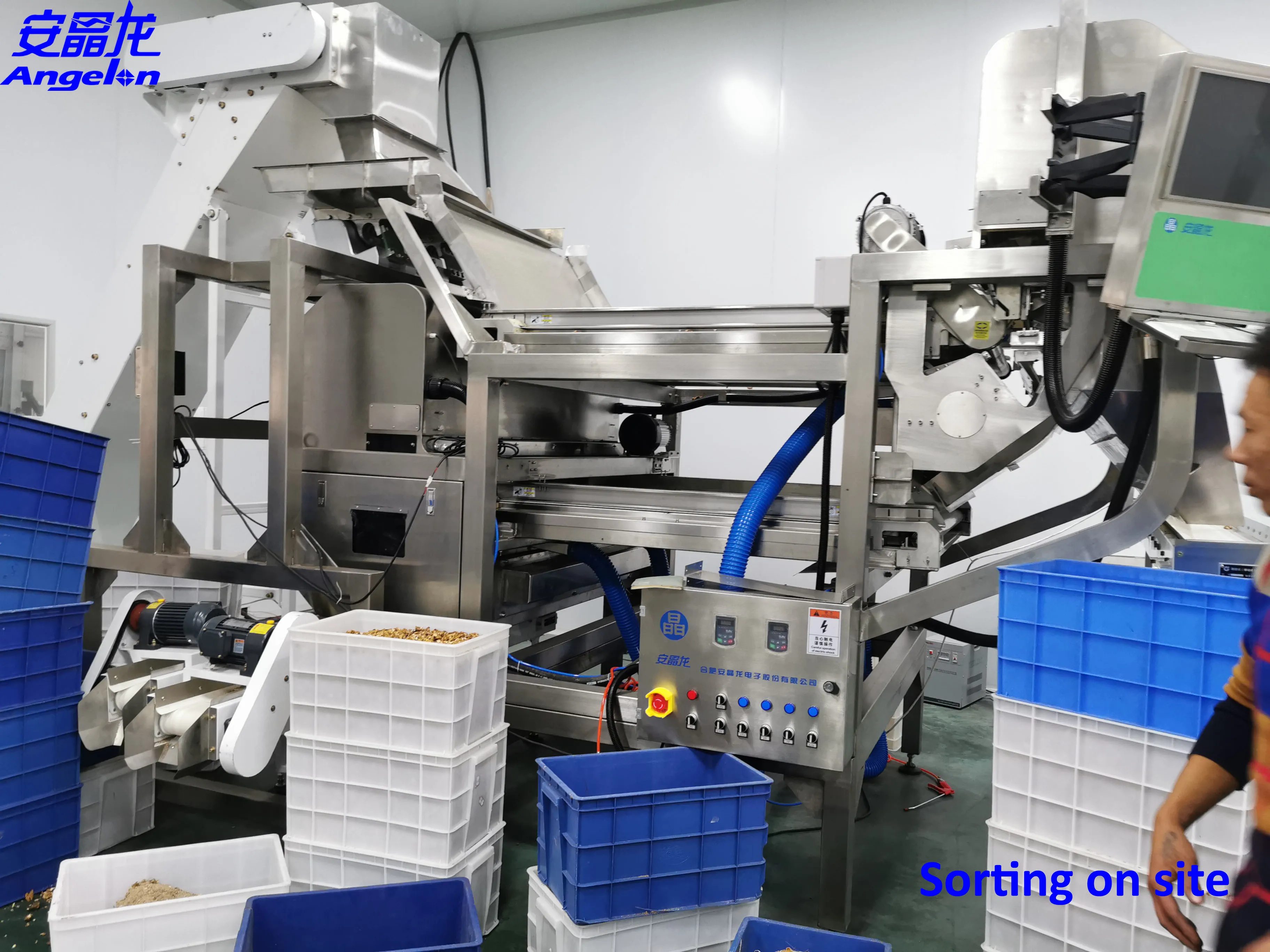 Peanuts Walnut Color sorter/sorting machine CCD camera intelligent Nuts processing machine