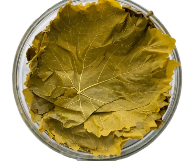 COMPETITIVE PRICE Hot Sale Made in Vietnam International Standard GRAPE LEAVES IN BRINE Bulk Supply