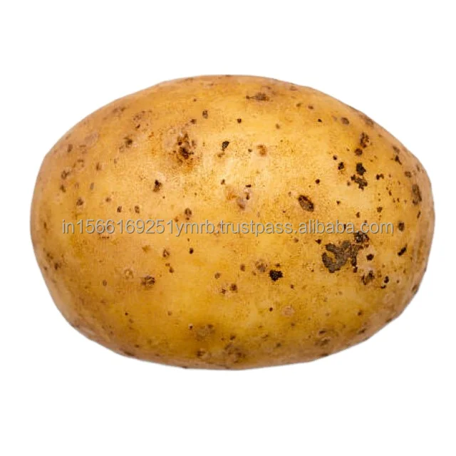 FRESH POTATO Potatoes HOT Sale In Bulk For Wholesale In Custom Packaging NEWEST CROP