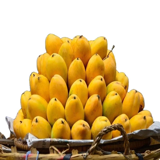 High Quality Globally Selling Fresh Mango From Pakistan to All Yellow Tropical August Style Time Packing Mature Organic Color