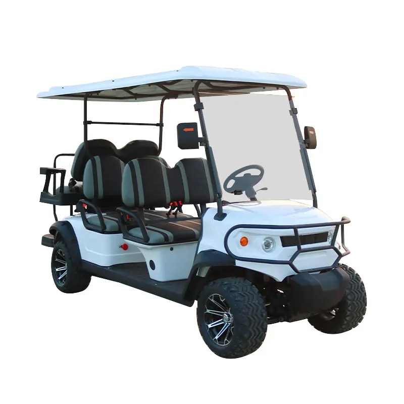 48V/72V New Design with Curtis Controller Electric Golf Cart 5kw ODM Service for Exclusive Brand Agent