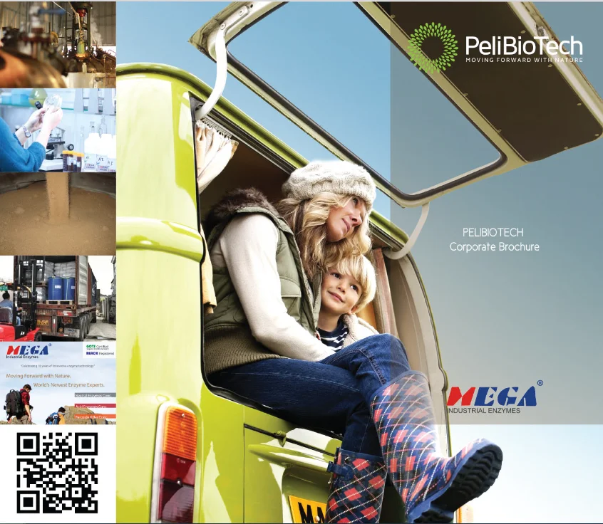 Mega DS-P07: best price  concentrated Medium Temperature Powder  Alpha Amylase designed specially for desizing of garments