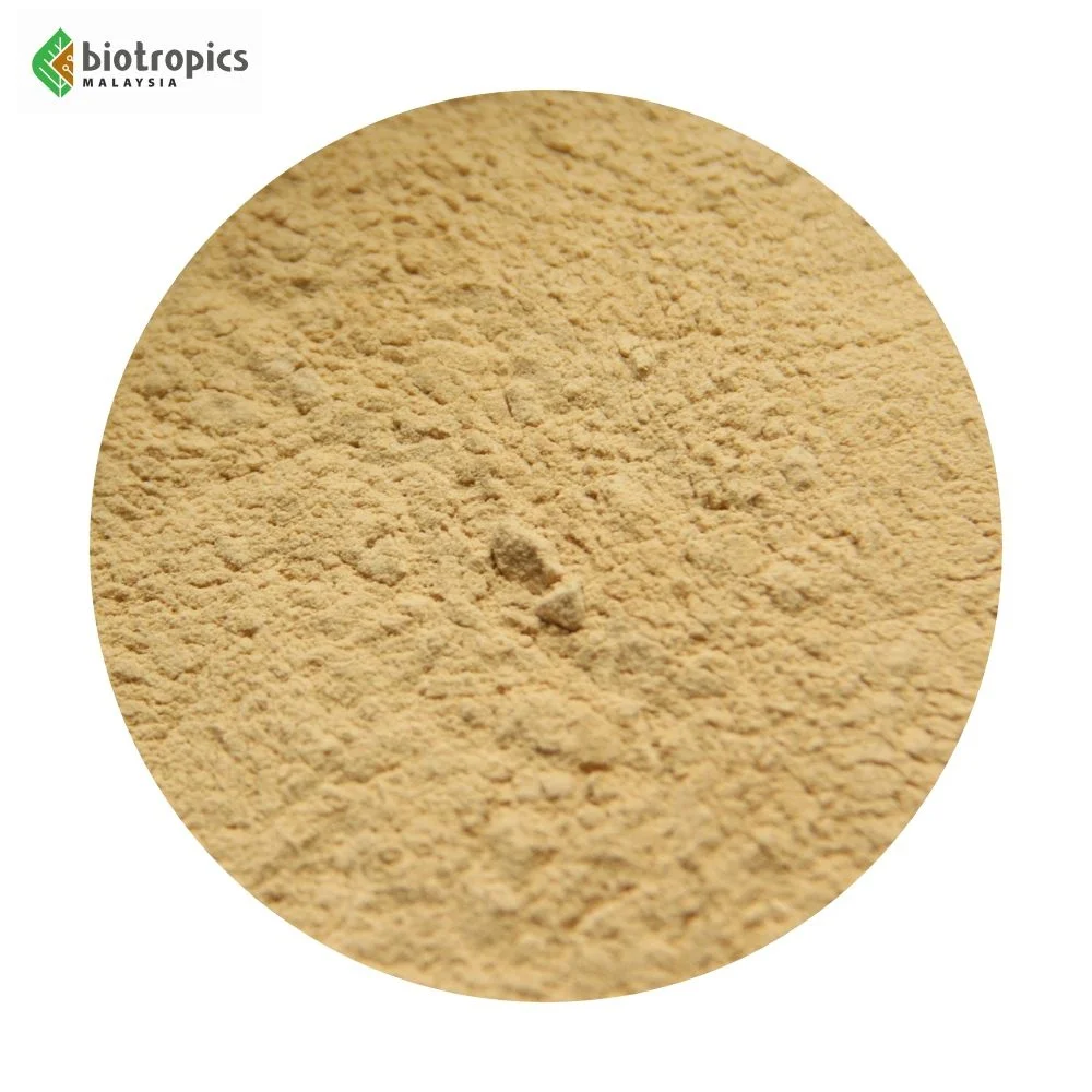 Science-Backed New Bulk Extract Tongkat Ali (Malaysian Ginseng) Root Powder Supplement Wild-Cultivated for Health & Wellness