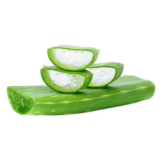 (GCFOOD) Aloe Vera Dice 100% mature  aloe vera plant from Vietnam with best price for wholesale