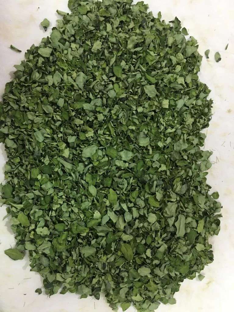 Wholesale organic moringa leaf powder