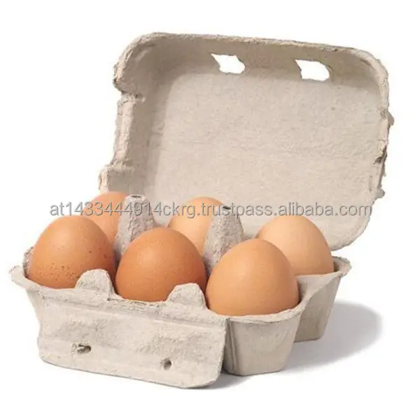  Куриные яйца для стола