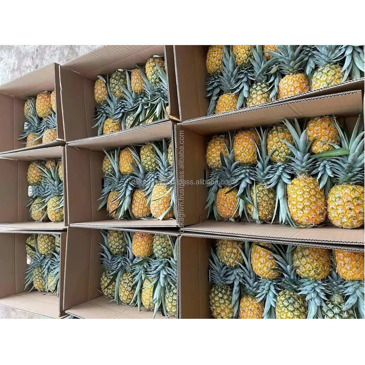 Pineapples New Vietnam High Quality Cleaning Products Bulk Quality Exporter Pineapples 100% Fresh MD2